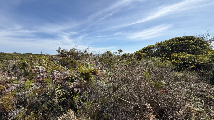 0 Bedroom Property for Sale in Pezula Golf Estate Western Cape